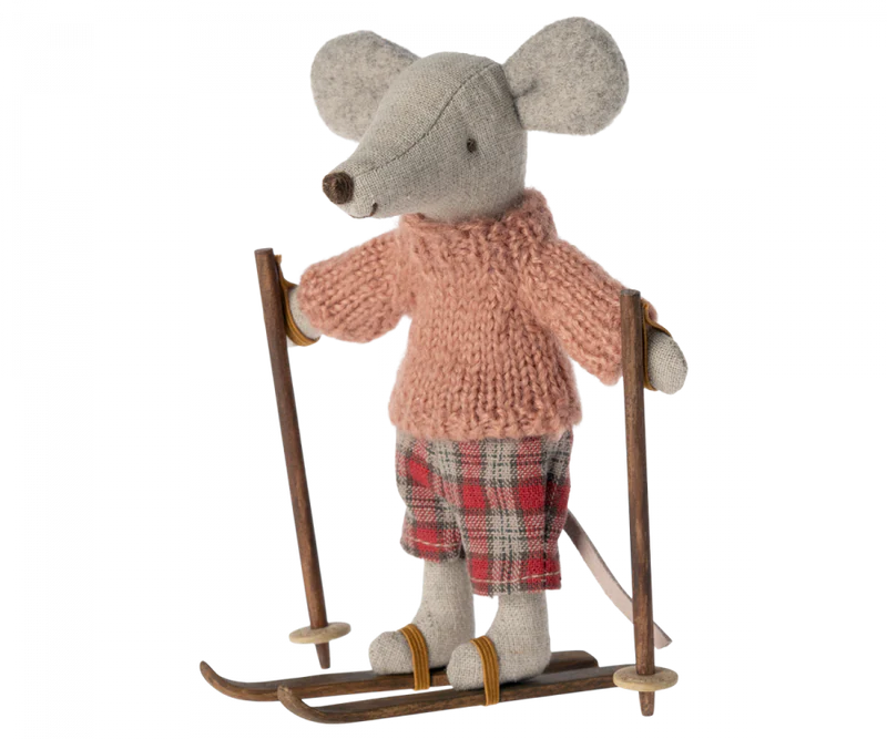 Ski et bâtons de ski, Grande sœur/Grand Frère