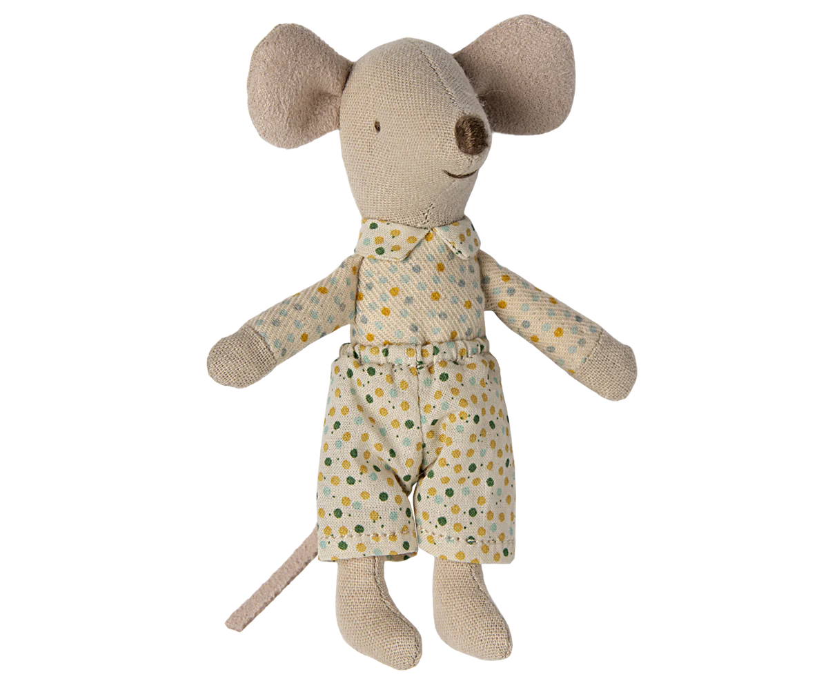 Souris petit frère dans sa boite assortie