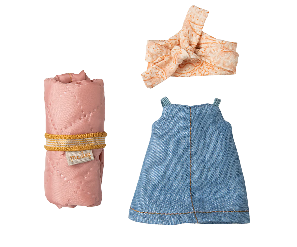 Souris campeuse 2025