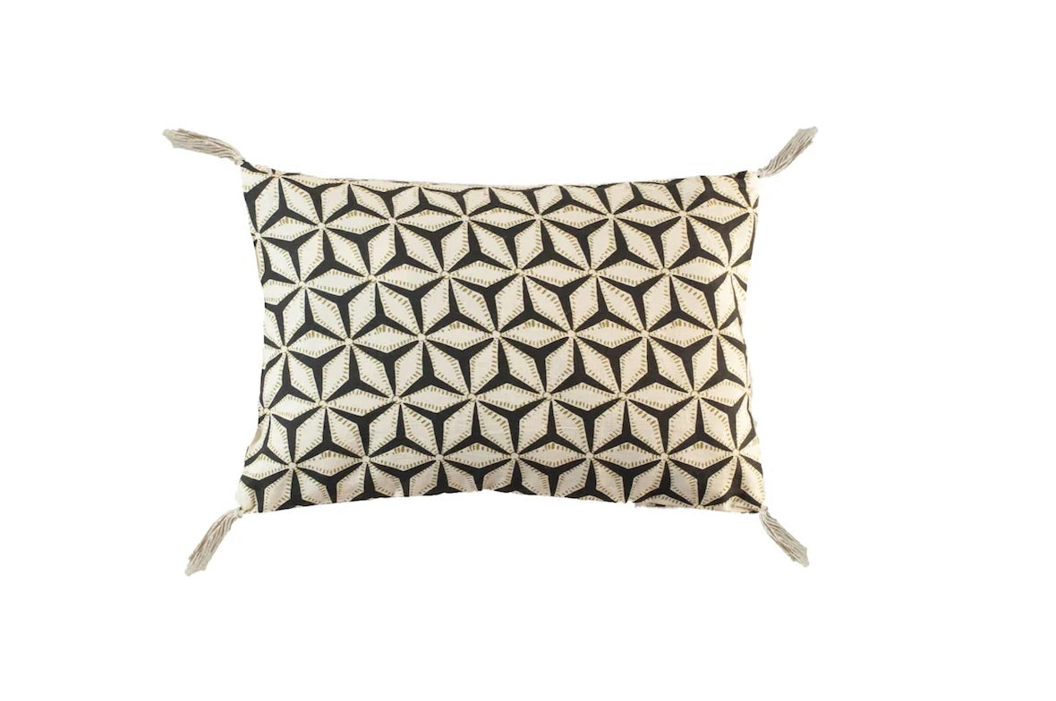 COUSSIN - 20x30 - STARS - Carbone