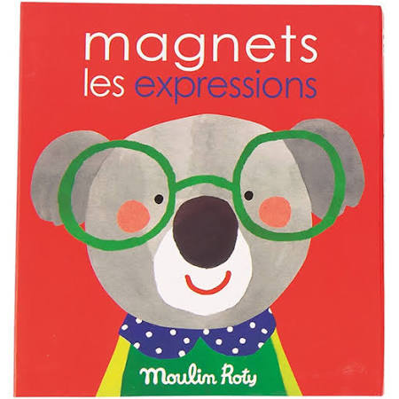 Jeu magnétique Les expressions