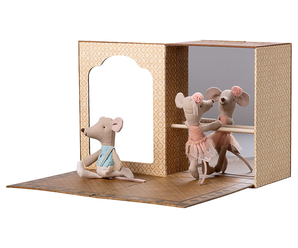 Studio de danse pour souris