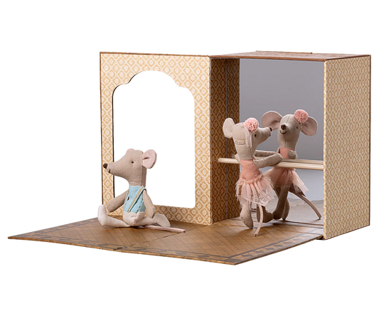 Studio de danse pour souris