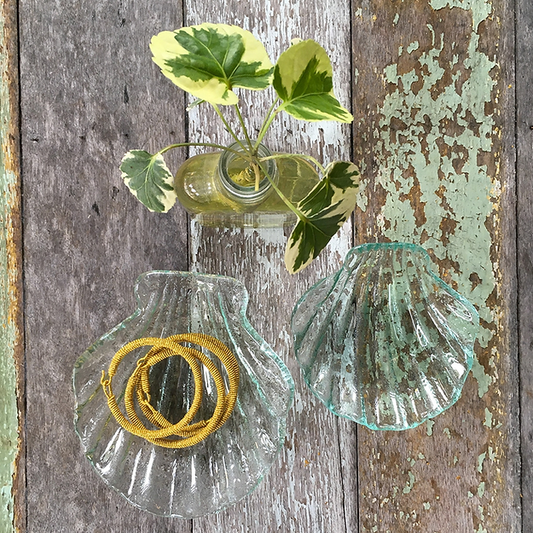 Coupelles coquillages en verre